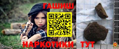 крисы Кингисепп