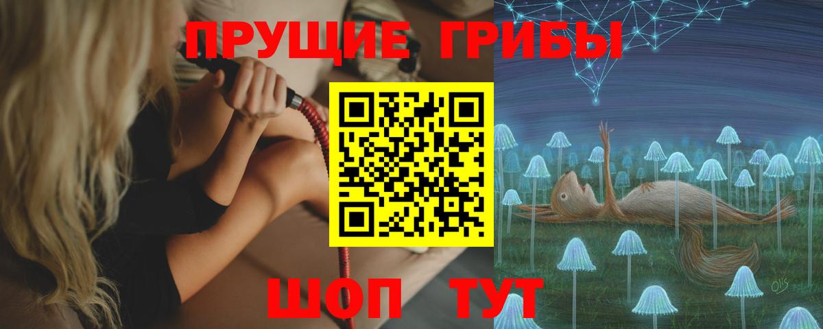 Новочеркасск  Псилоцибиновые грибы мицелий  Вход с VPN 